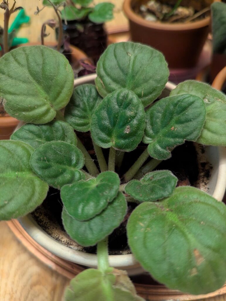 Are These Salvageable?