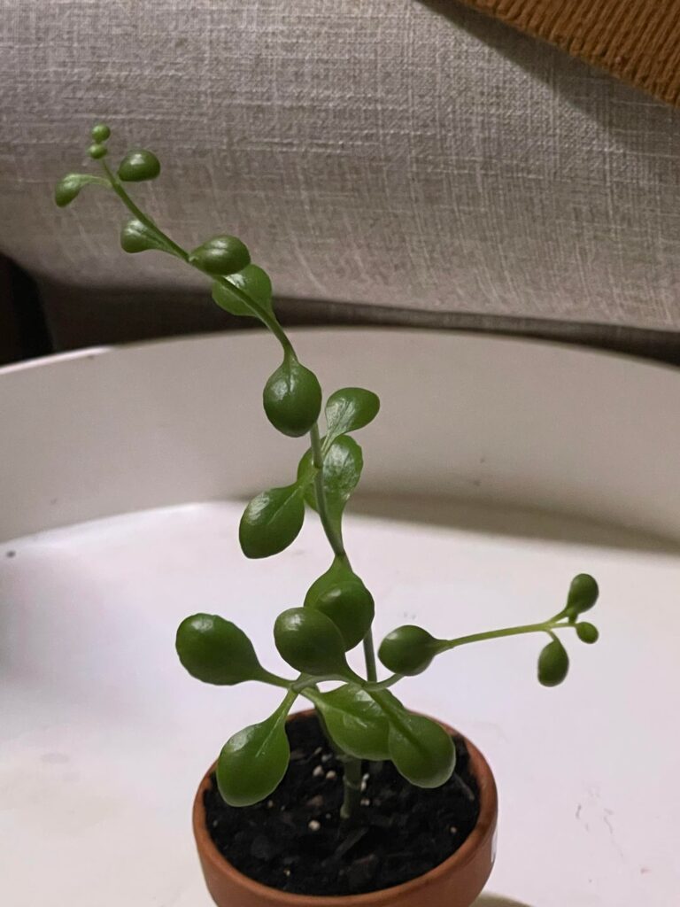 Can anyone ID? Can anyone ID?