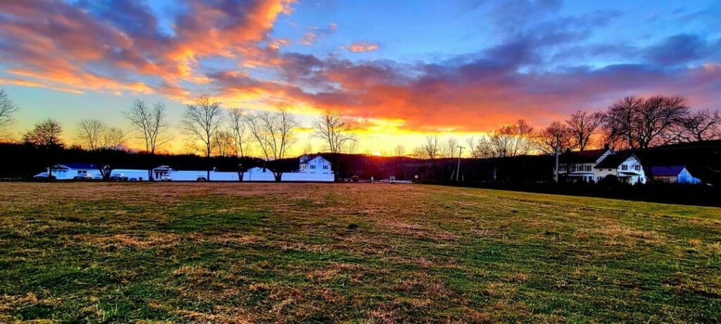 Why do horses never seem cold – and still get to enjoy sunsets this beautiful? Why do horses never seem cold - and still get to enjoy sunsets this beautiful?