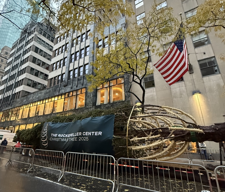 The Rockefeller Center Christmas is transported to New York City aboard a special trailer. 