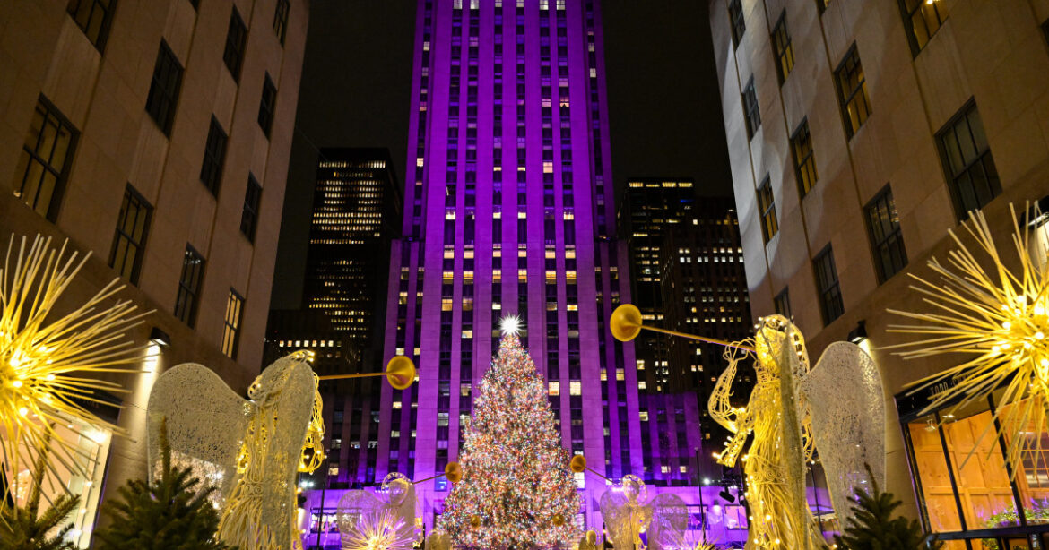 How Rockefeller Center's Gardener Chooses the Christmas Tree Each Year