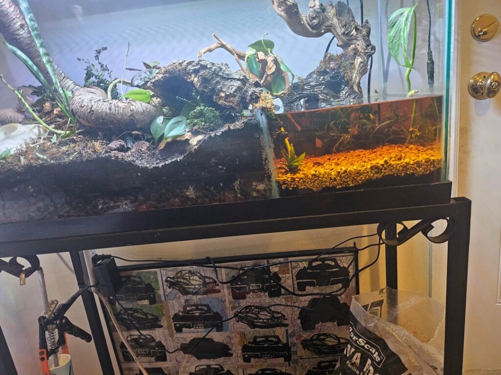 Started leaking! Upgrade ideas for next try?