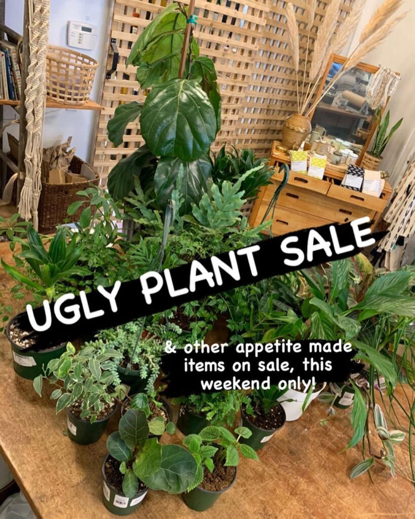 Guys i'm gonna be so filthy rich