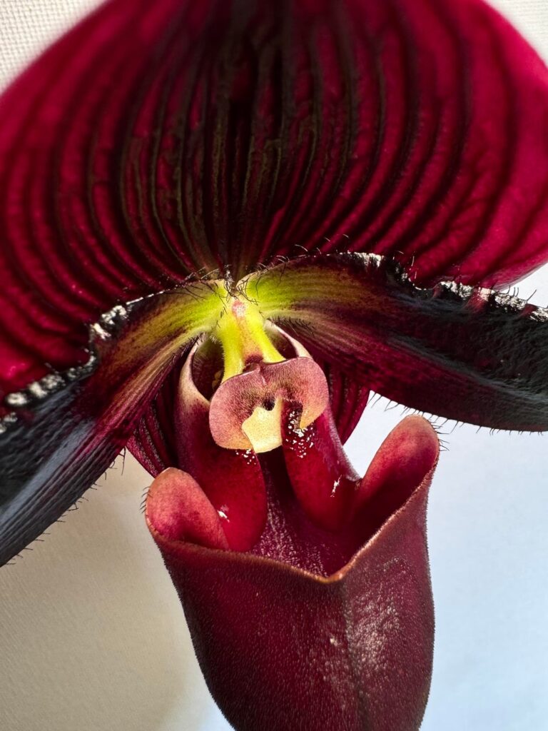 It’s no wonder these take so long to develop, just look at those details!