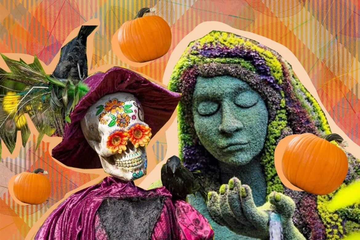 The Atlanta Botanical Gardens Autumn Exhibitions – The Connector