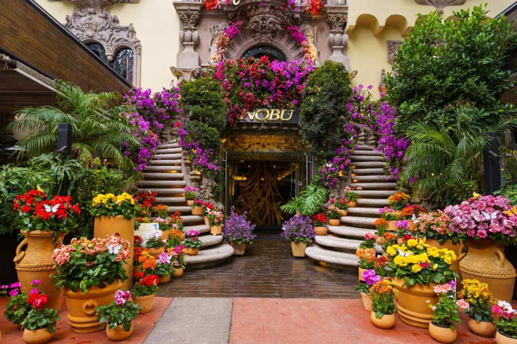 Flowers and Gardens Festival 2026 in CDMX