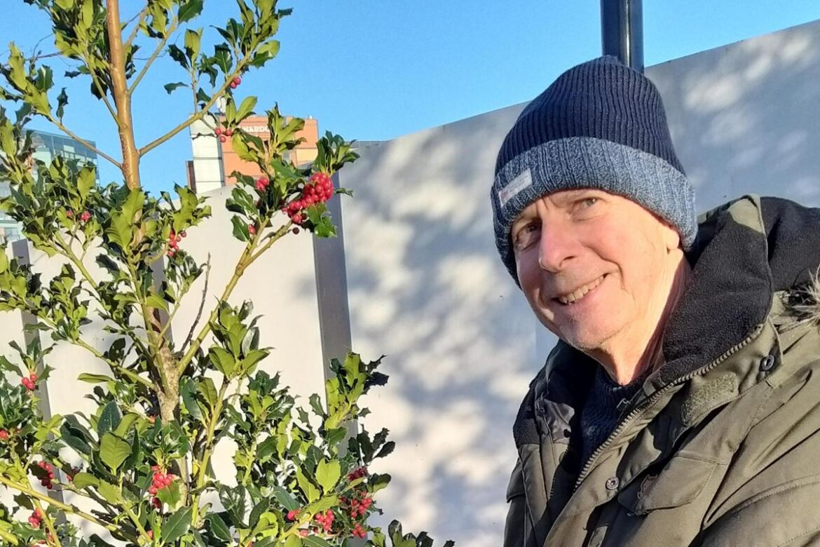 Here’s what you should be planting in the garden in December Bradford Telegraph and Argus