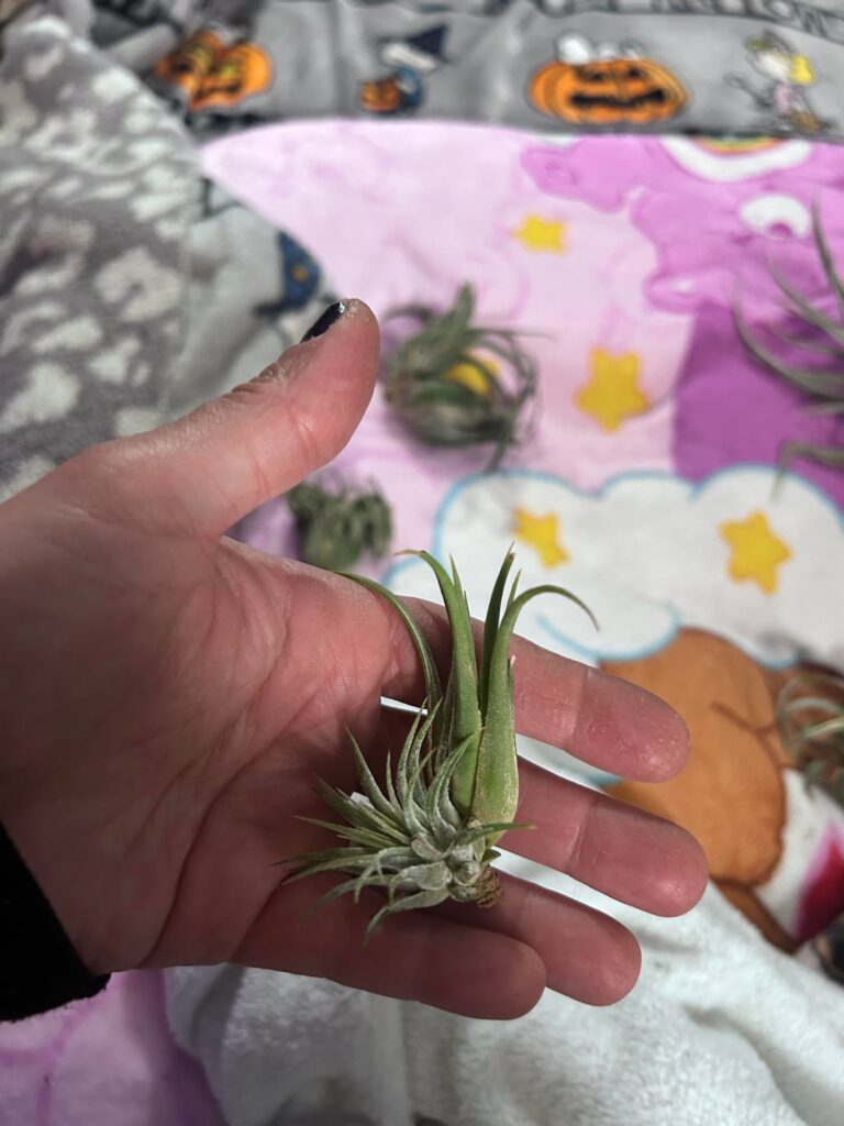 Can somebody please identify each of these with the corresponding number of the picture?