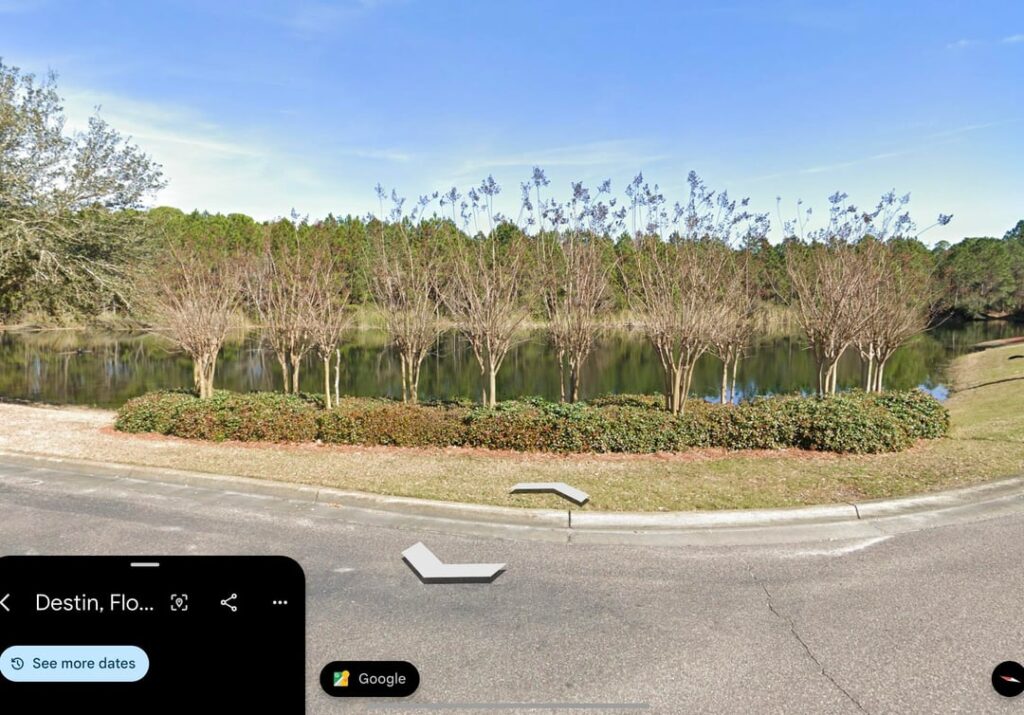 Shaped Hedges Under Crepe Myrtles ID (Destin; Orlando, FL) Shaped Hedges Under Crepe Myrtles ID (Destin; Orlando, FL)