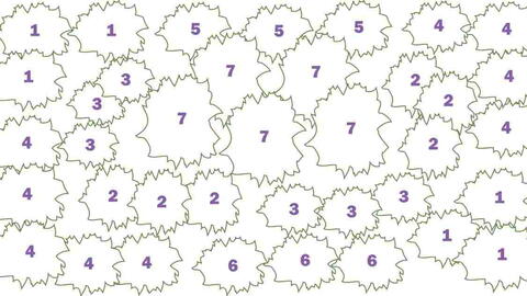 Perennial Flower Garden Plan for Backyards and Borders Perennial Flower Garden Plan for Backyards and Borders