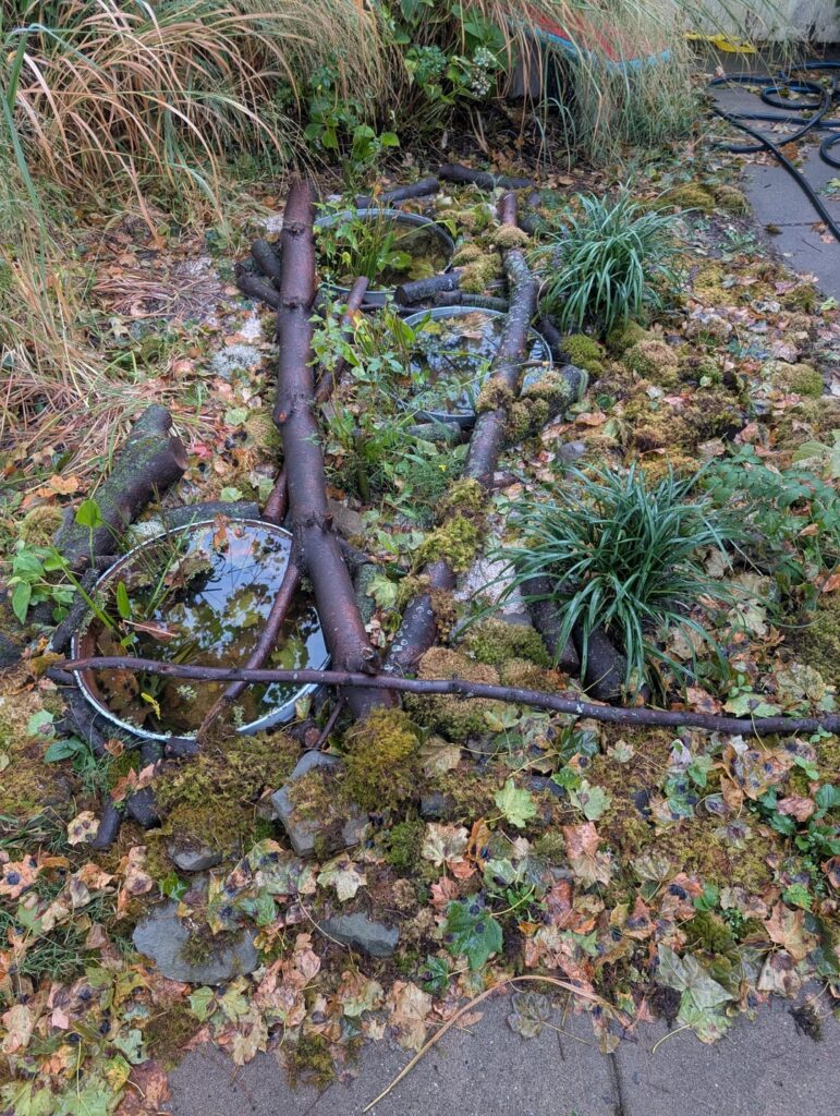 Update: Garden Tub Ponds