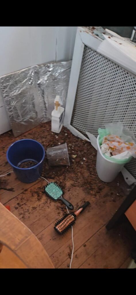 My abusive father threw my plants, caused a large fight with police involvement. My abusive father threw my plants, caused a large fight with police involvement.