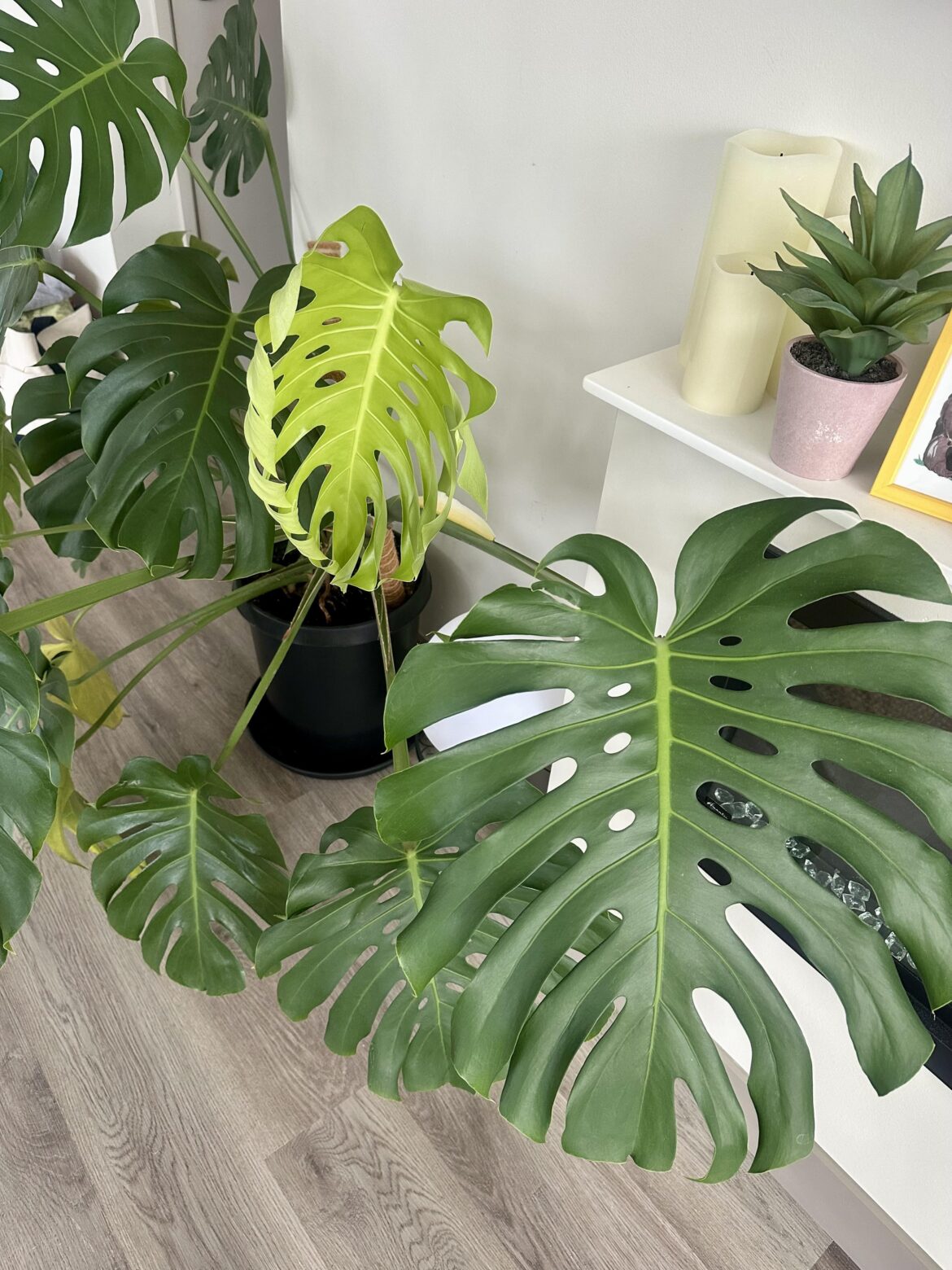 When you’re having a crappy day & come home to this