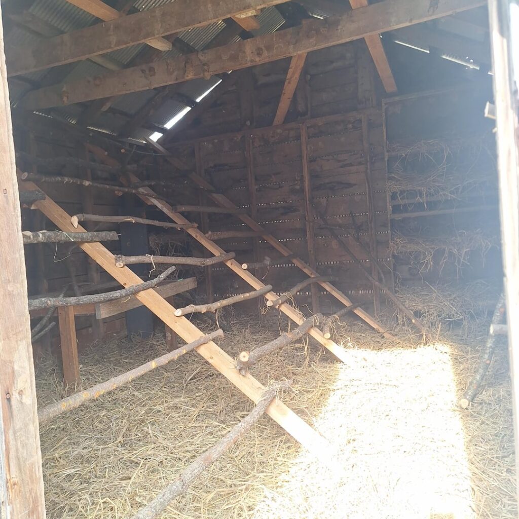 Chicken coop build update