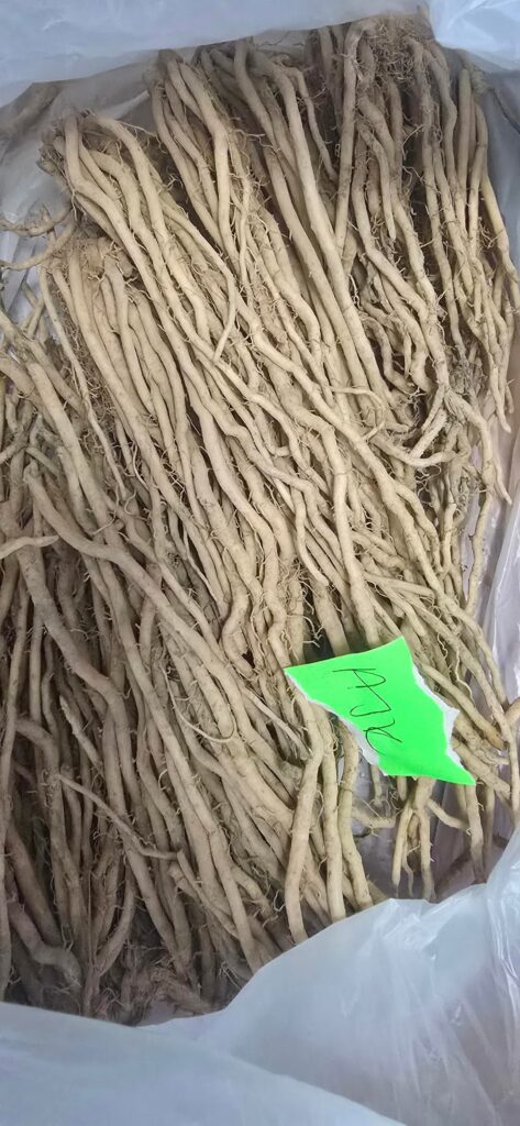 I need asparagus advice.