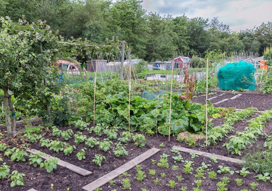 Gifts for Gardeners | OSU Extension Service Gifts for Gardeners | OSU Extension Service