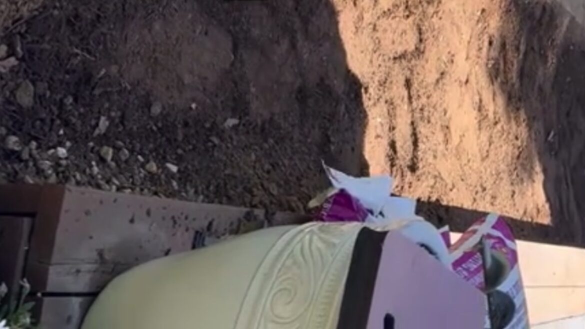 One couple's garden transformation went viral on TikTok, inspiring others to rewild their outdoor spaces.