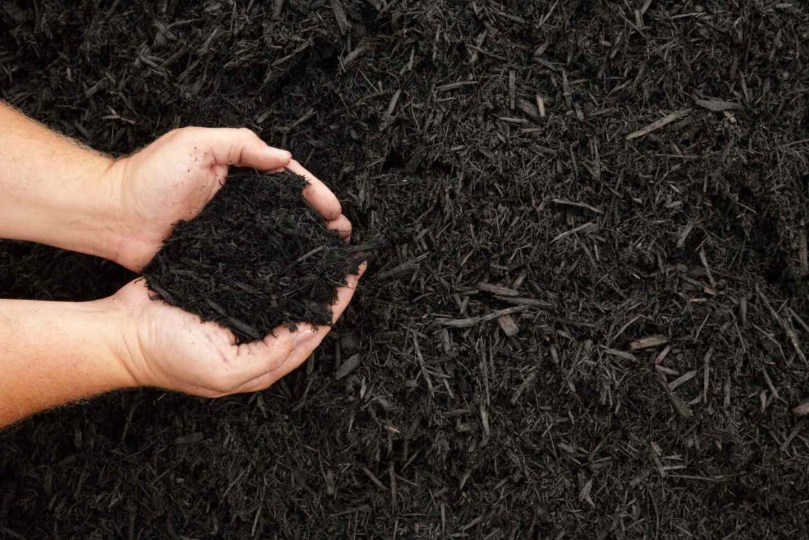 Should You Really Add Mulch In Winter? Here’s What Garden Experts Say Should You Really Add Mulch In Winter? Here’s What Garden Experts Say