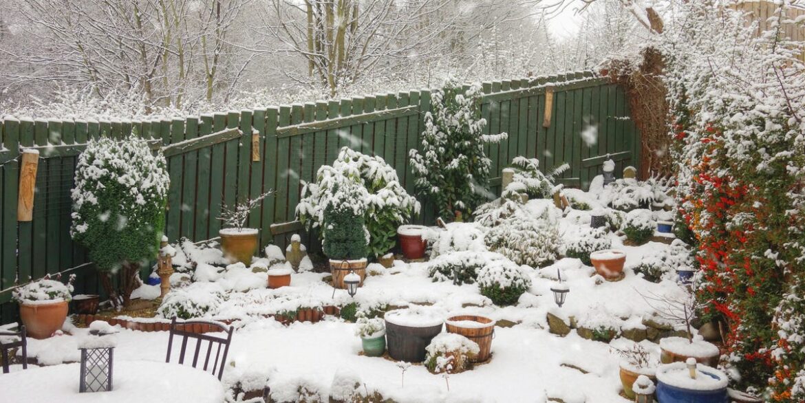 How To Protect Your Garden Before This Week’s Heavy Rain Arrives