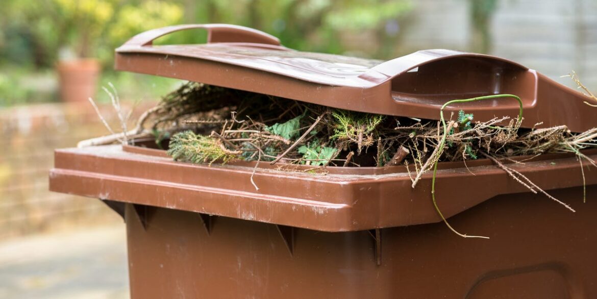 the unexpected things you can (and can't!) put in your garden waste bin