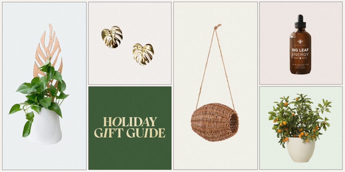 46 Gifts for Plant Lovers That They'll Love to Show Off