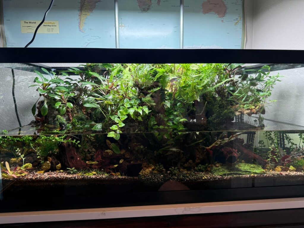 Just about over a year old progress