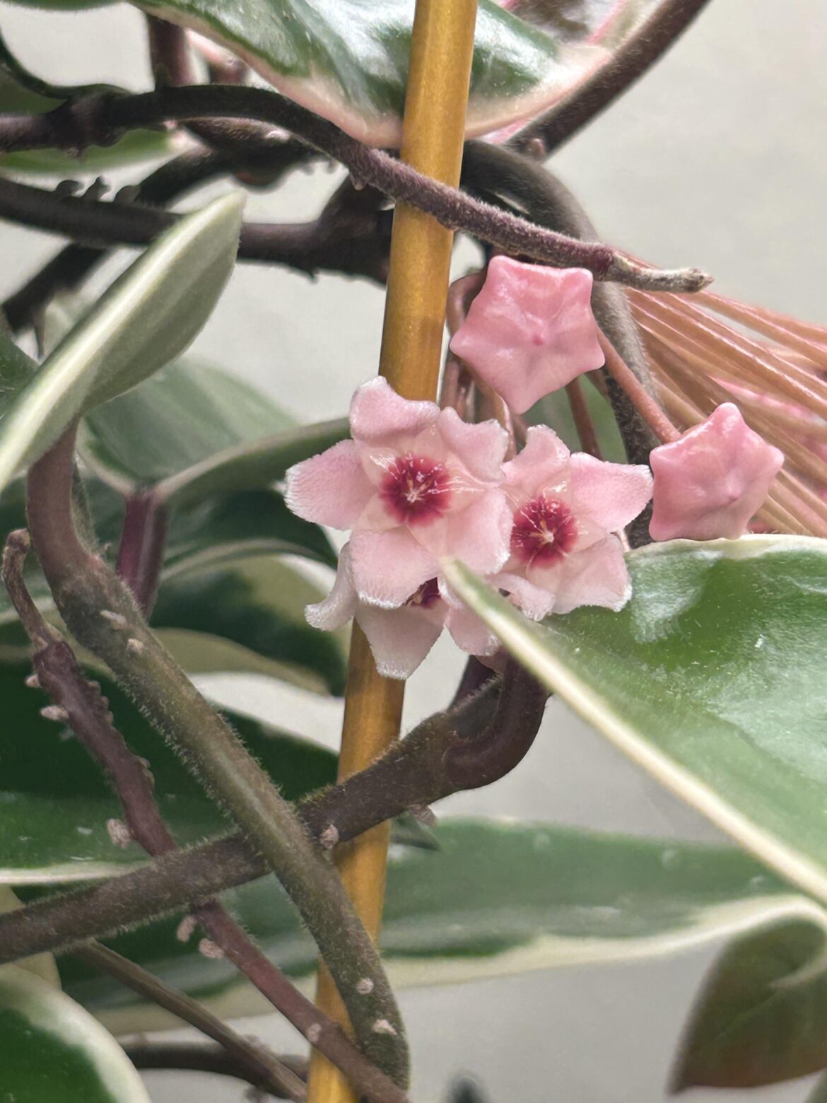 Took so long I started to think they would never open, but it has finally begun!!