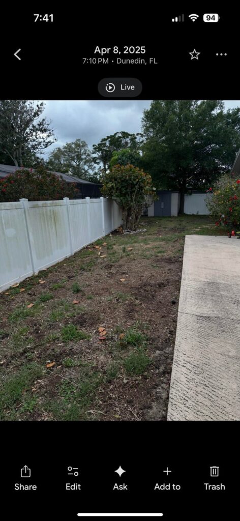 Is my yard salvageable, or is it better to start over? Is my yard salvageable, or is it better to start over?
