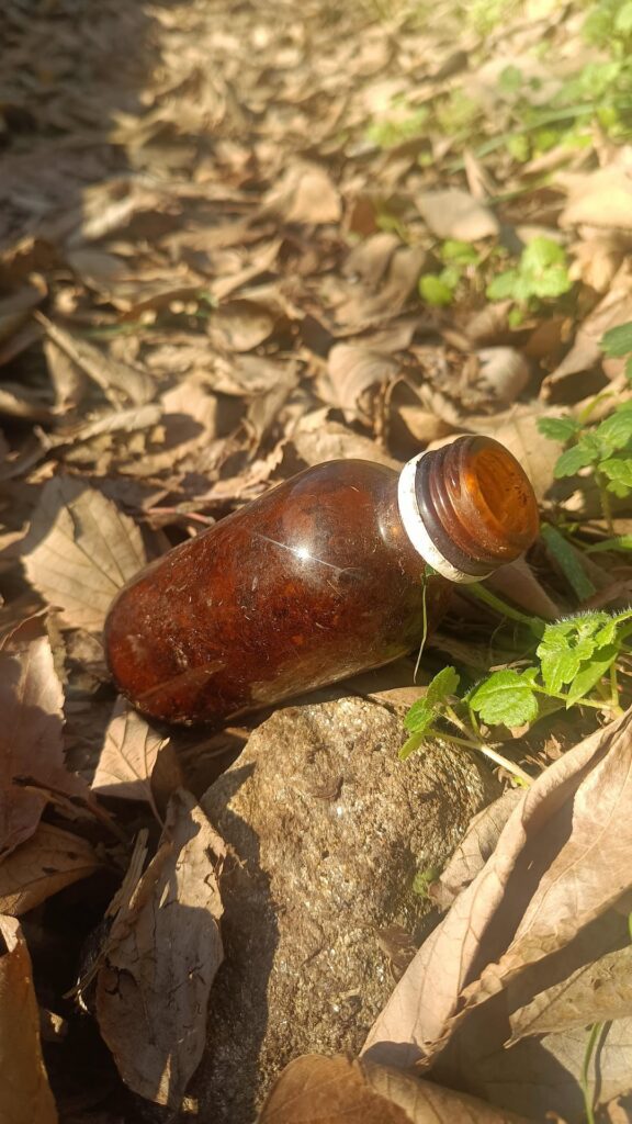 Tiny Nature-made terrarium