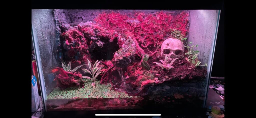 4 month growth 4 month growth