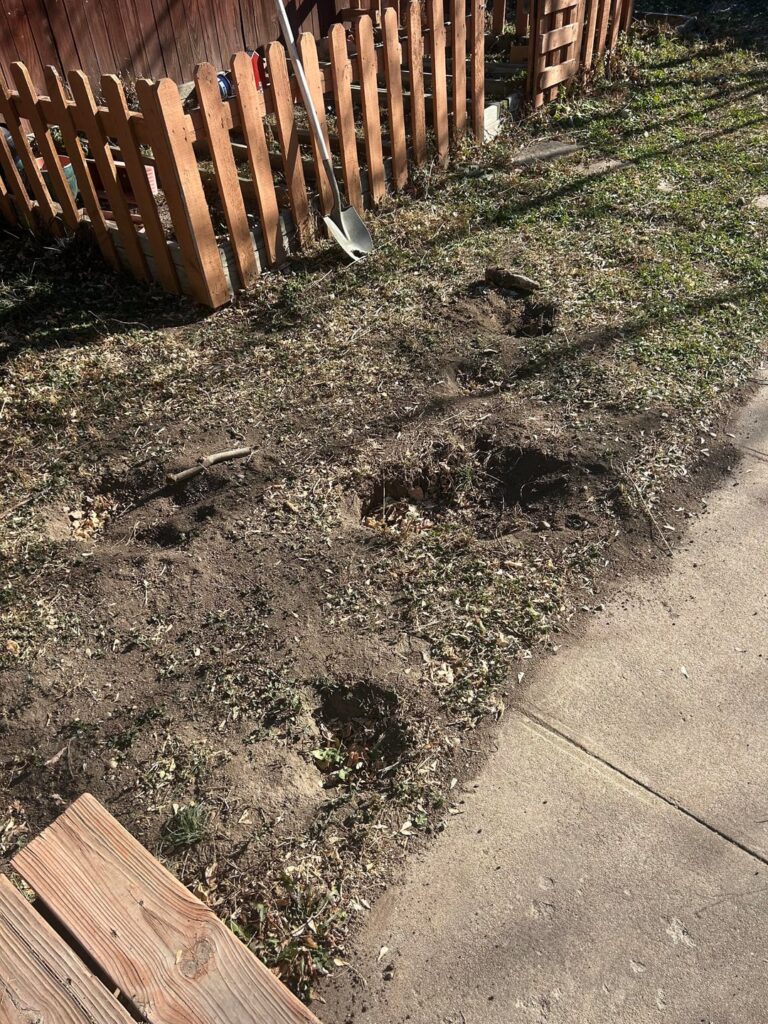 Should I use a specific kind of dirt to fill in holes? Should I use a specific kind of dirt to fill in holes?