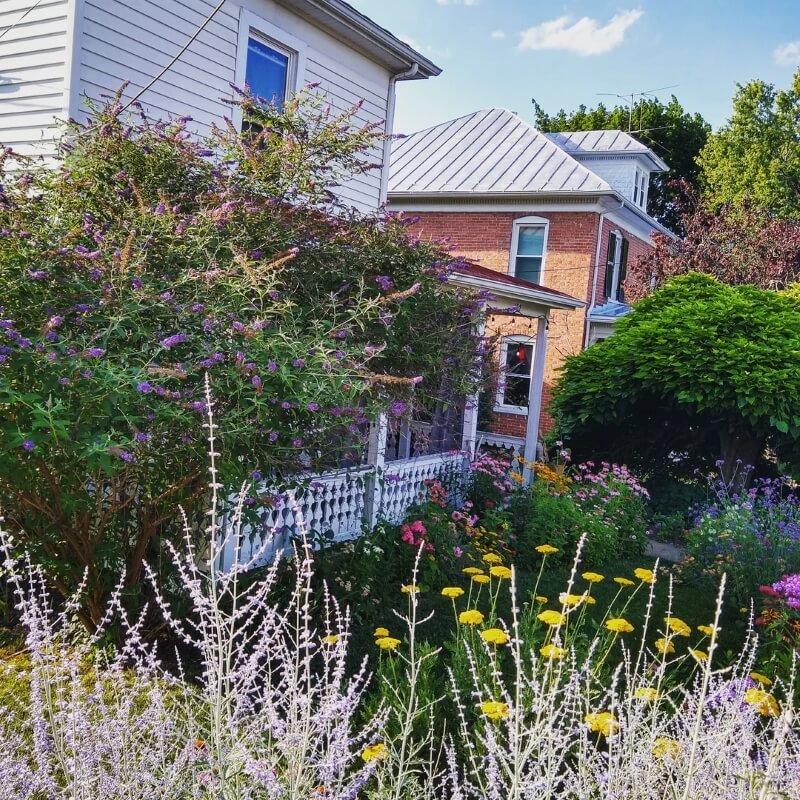 One Reddit user shared photos of their beautiful garden in celebration of pollinator season.