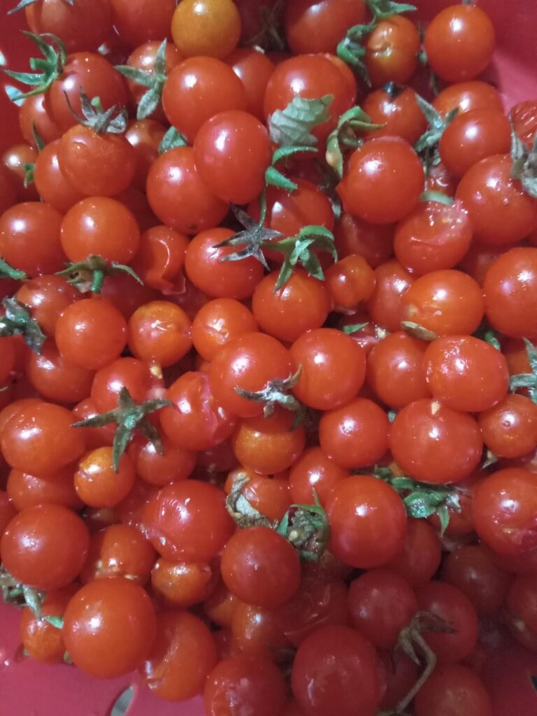 Cherry Tomatoes