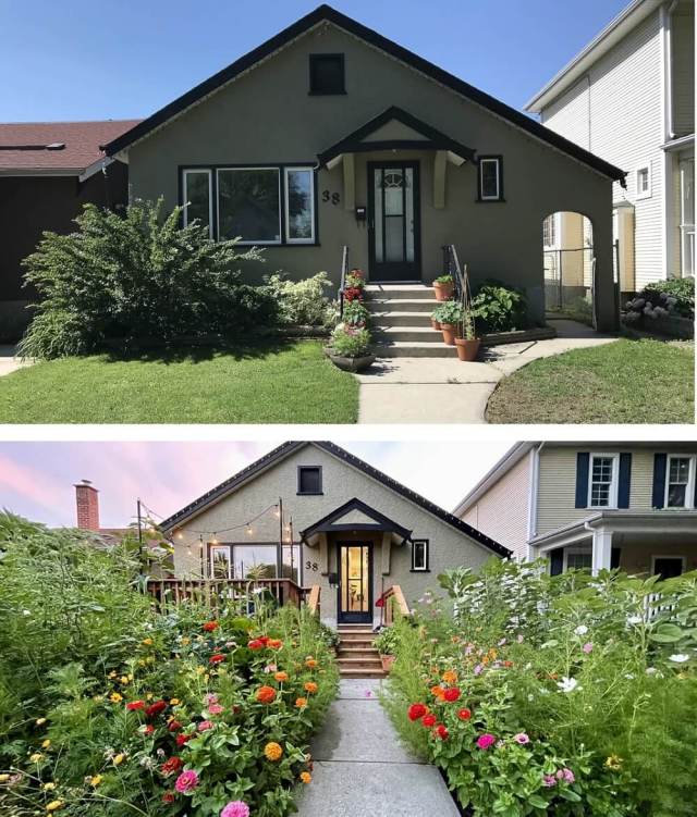 One homeowner on Reddit posted before-and-after photos of their yard. They noted that people came this year to take photos in front of their house because of all the flowers.
