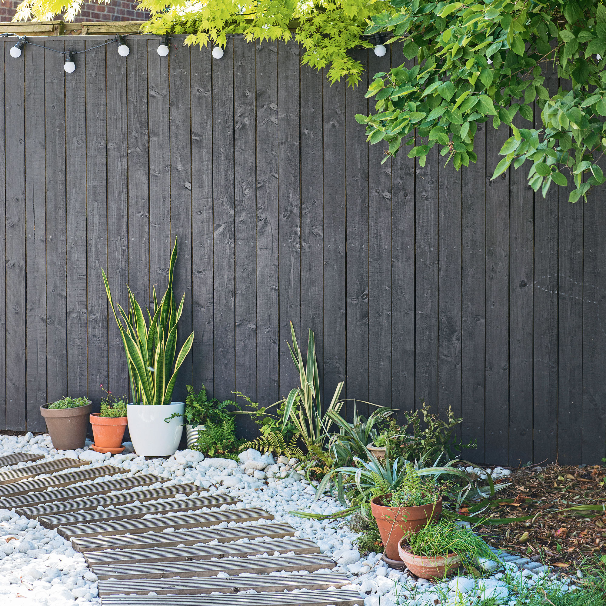 black fence in garden with pot plants and pathway