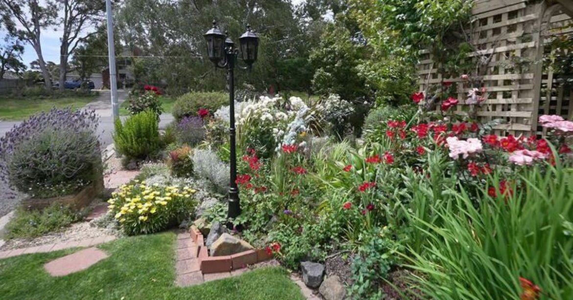 Aleida spends hours tending to her garden everyday, but the local council says her flowers pose a threat. Aleida spends hours tending to her garden everyday, but the local council says her flowers pose a threat.