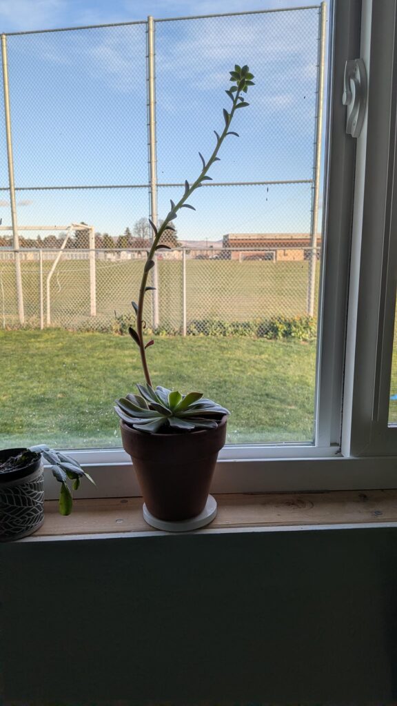 You ok there bud? You ok there bud?