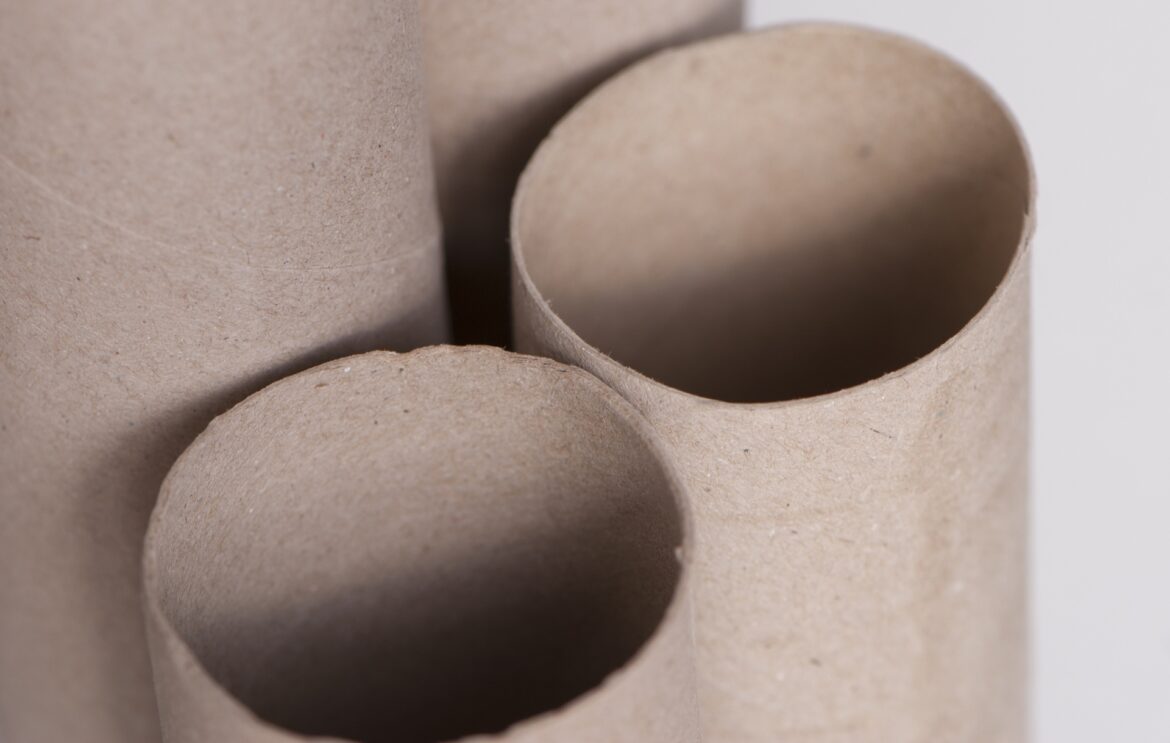 One TikTok user shared an ingenious method of repurposing toilet paper tubes to help sweet pea seedlings develop their roots.