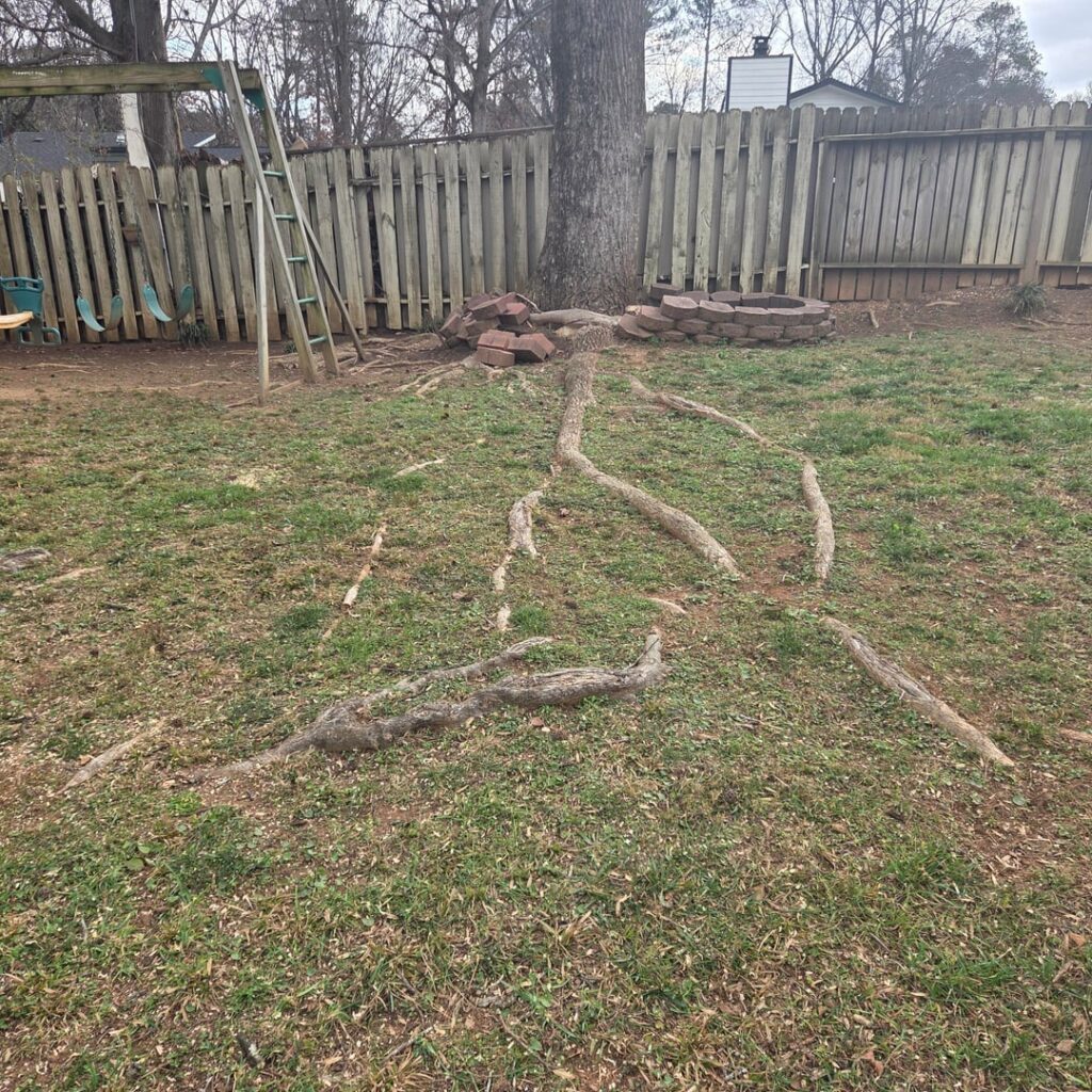 Just looking for information