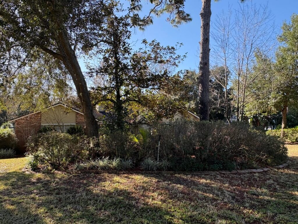 Ideas for improving the look of this area