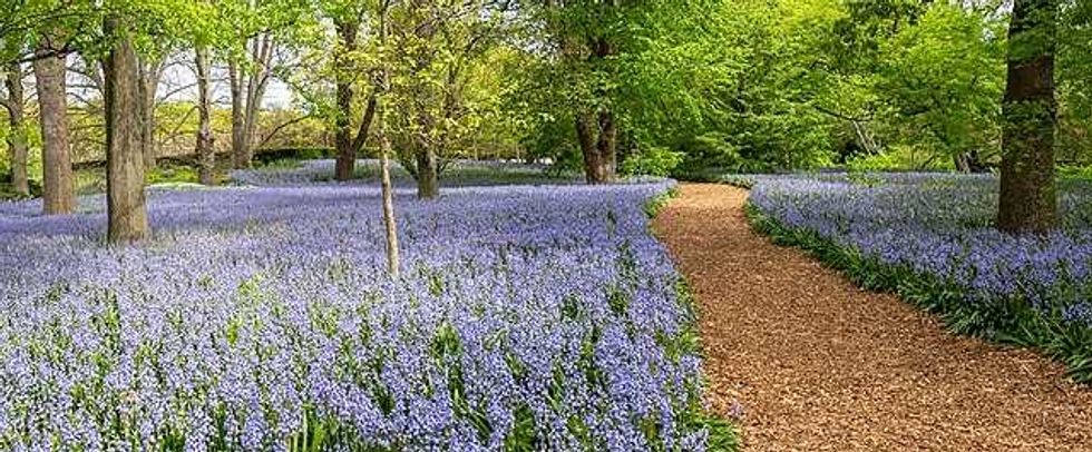 garden, flowers, brooklyn botanical gardens, gardening metaphor, beautiful garden