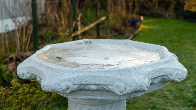 Close up of ice frozen in bird bath