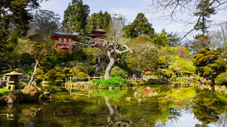 A view of the San Francisco Japanese Tea Gardens with a large pond, pagoda, and walking paths visible
