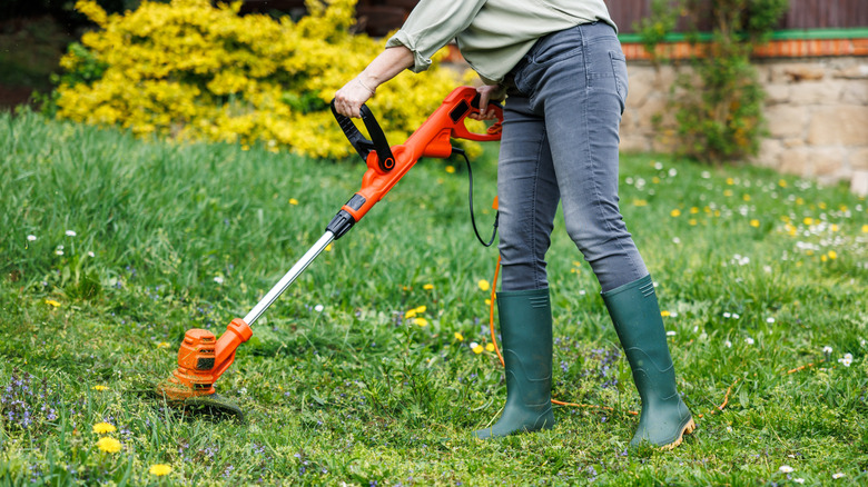 A person using an edger to trim grass