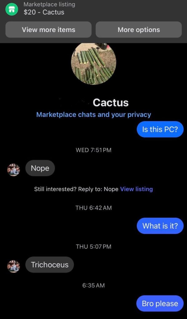 Please bro