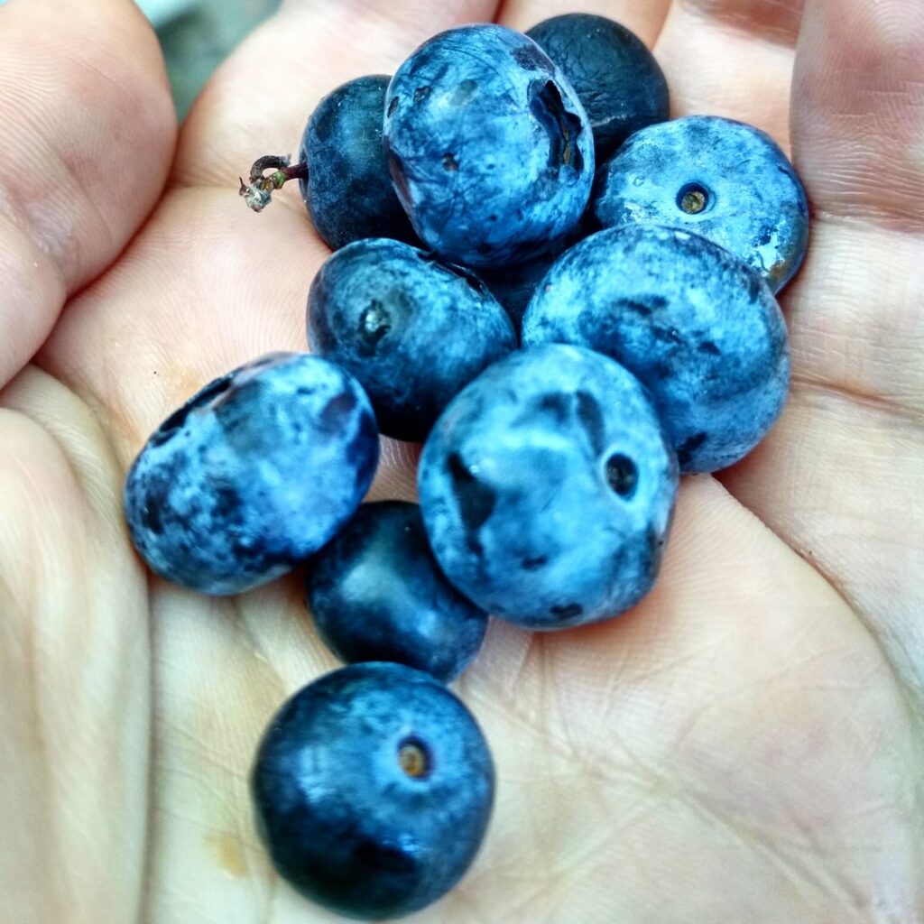 In the palm of your hand