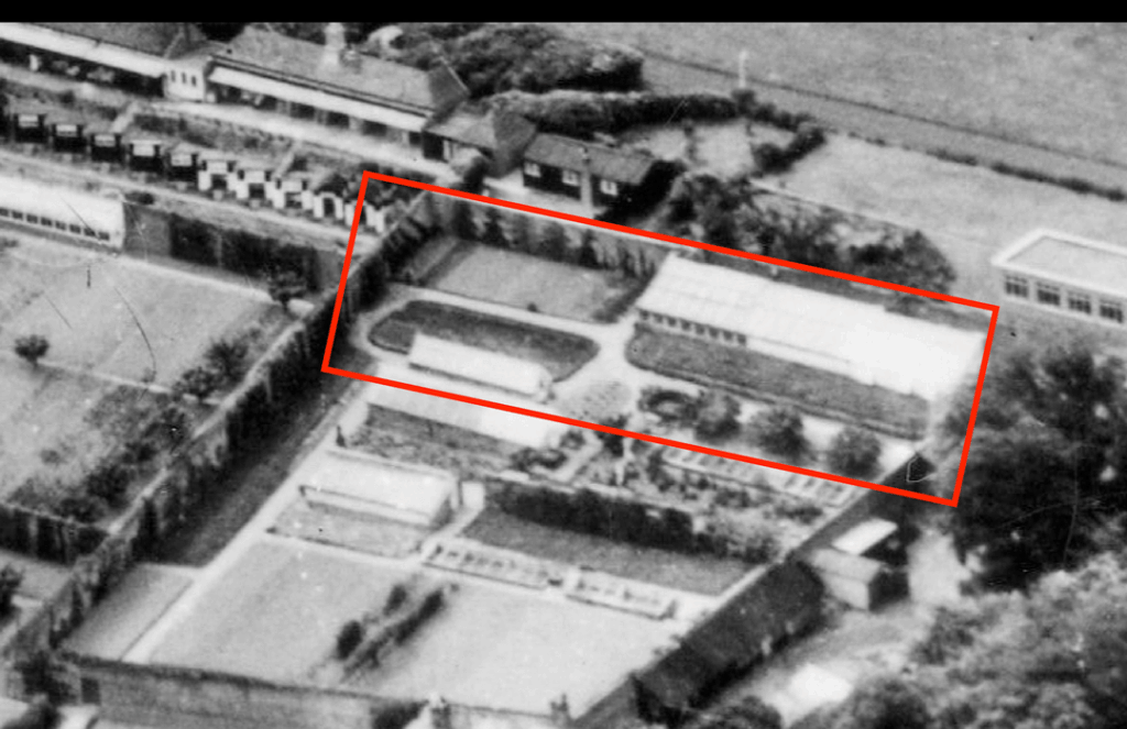 Help investigate old walled garden