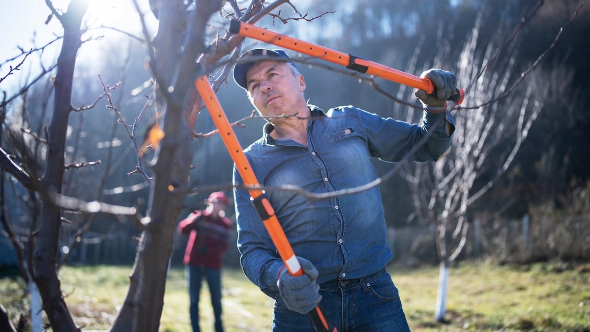 Colder weather is here, but there’s still plenty of yard work to be done.