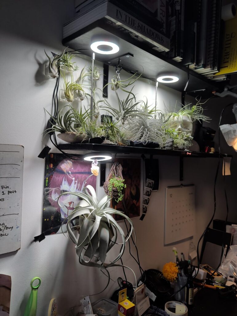 Collection update 😎