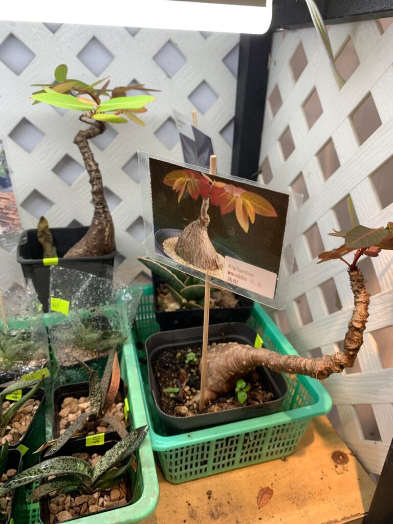 If only customs would allow me to bring some into my country.